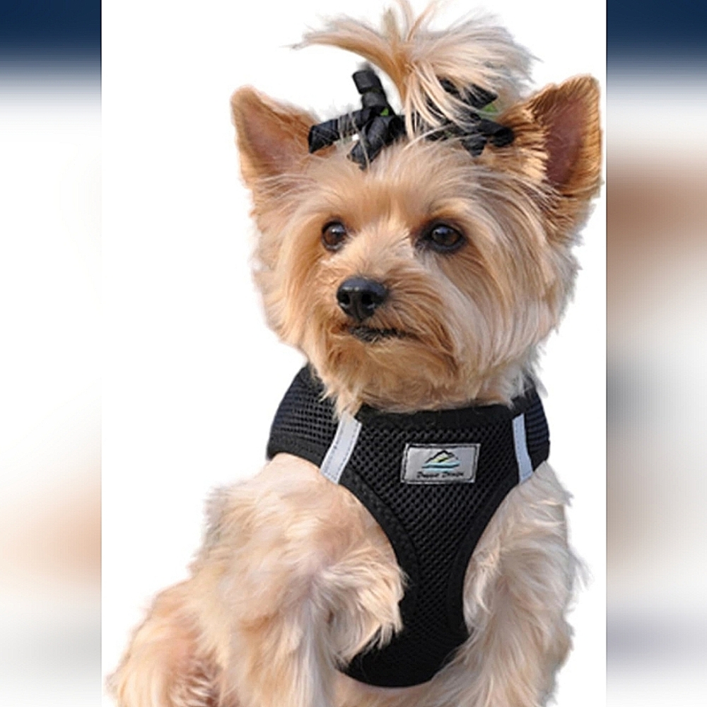 Doggie Design Dog Harness